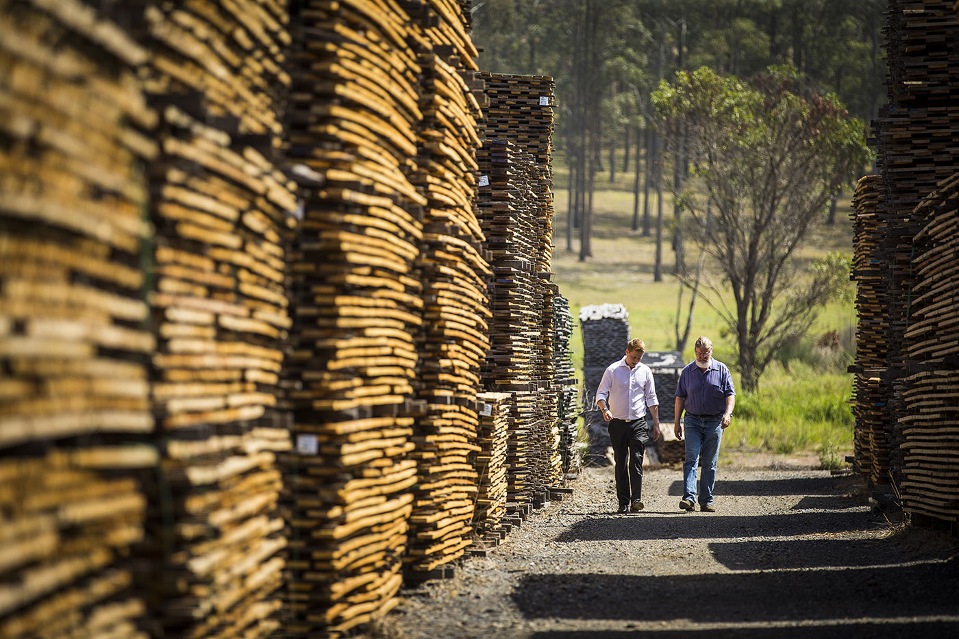 Australian Solar Timbers